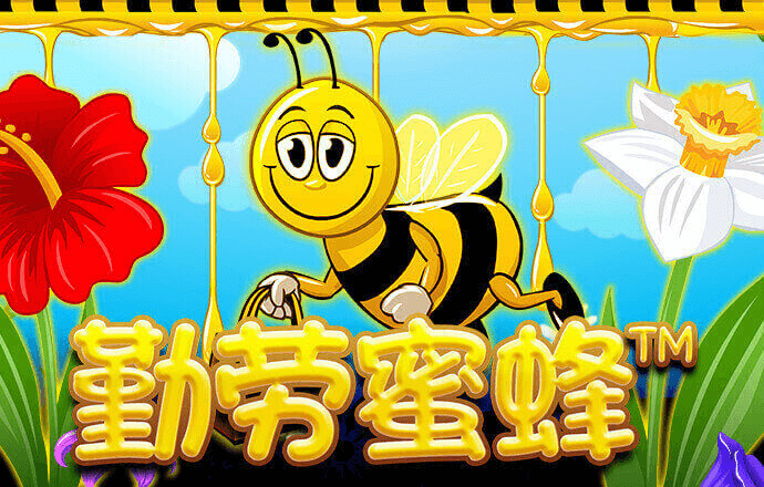 蜂鸟电竞是什么平台